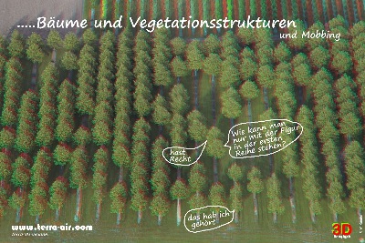 Bäume dreidimensional im Luftbild - aerial anaglyph, Anaglyphe by Wolfgang Kundel