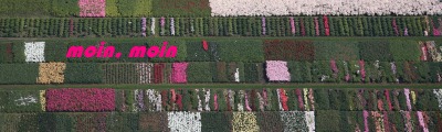 die Rhododendren im Luftbild - spektakulär im Frühjahr